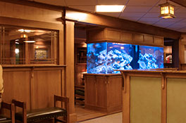 Interior image of custom fish tank